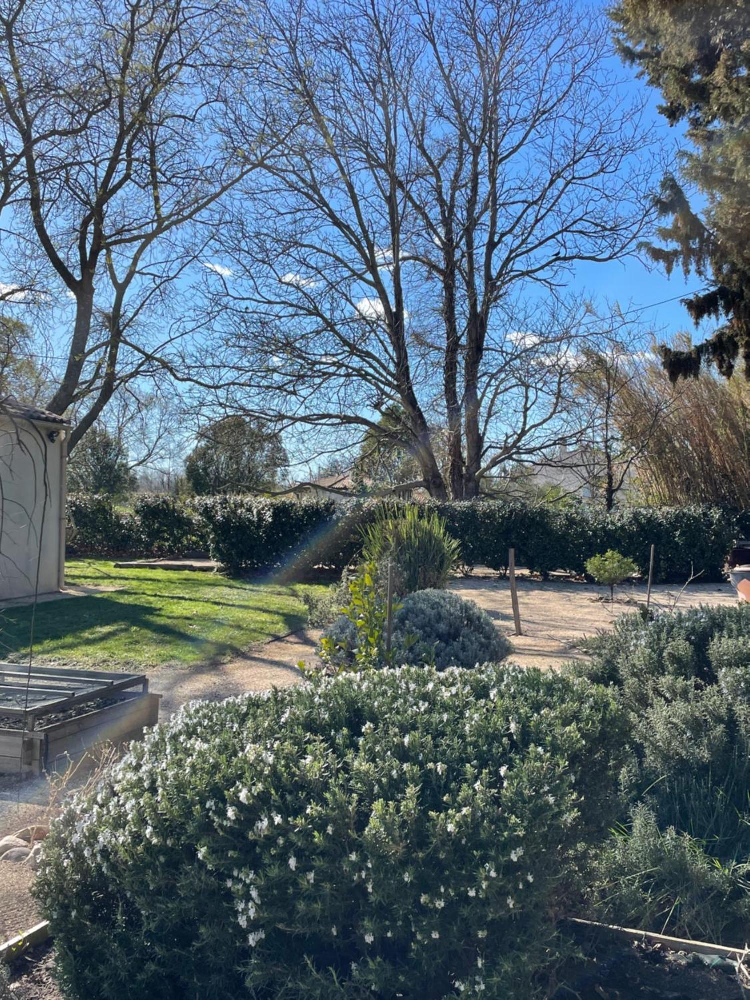 Arles Campagne Location "La Campagn'Arles" Bed & Breakfast Luaran gambar