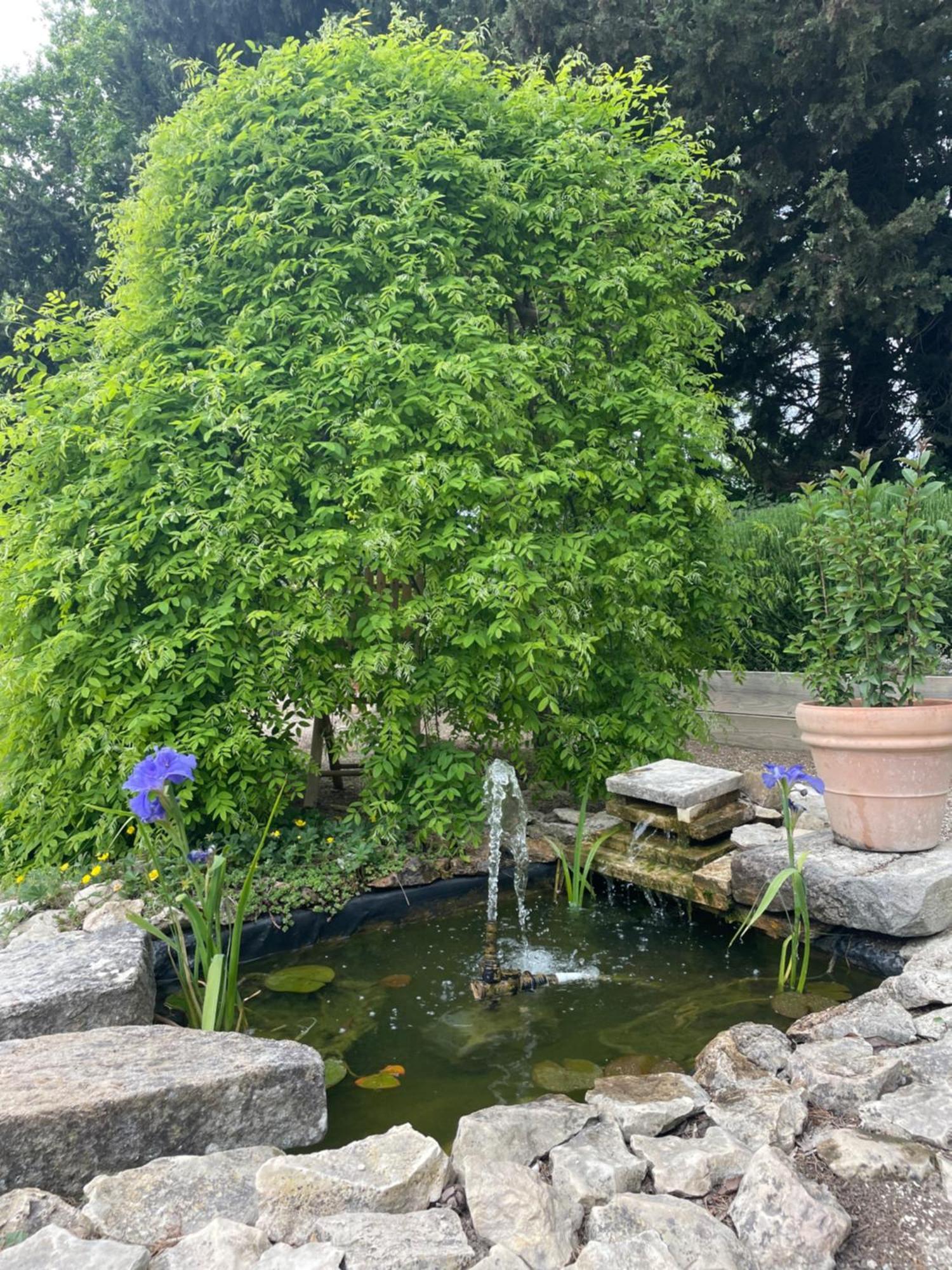 Arles Campagne Location "La Campagn'Arles" Bed & Breakfast Luaran gambar